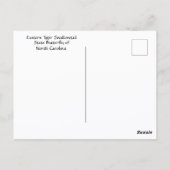 Eastern Tiger Frack Staat Butterfly Foto Postkarte (Rückseite)