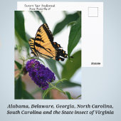 Eastern Tiger Frack Staat Butterfly Foto Postkarte