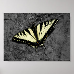Eastern Tiger Print Poster