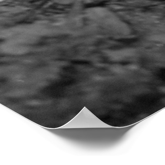 Eastern Tiger Print Poster (Ecke)