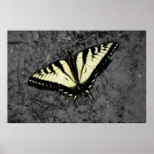 Eastern Tiger Print Poster (Vorne)