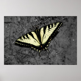 Eastern Tiger Print Poster