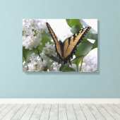 Eastern Tiger Swallow Schwanz von White Lilac Bush Leinwanddruck (Insitu (Holzboden))