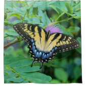 Eastern Tiger Swallowtail Butterfly Duschvorhang (Vorderseite)