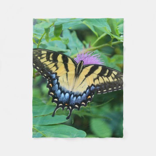 Eastern Tiger Swallowtail Butterfly Fleecedecke (Vorderseite)