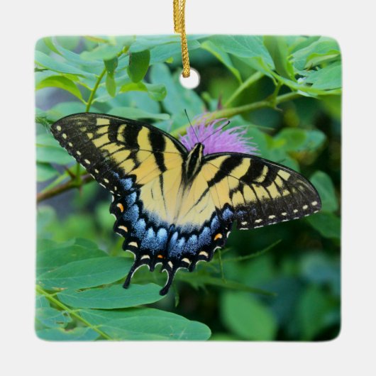Eastern Tiger Swallowtail Butterfly Keramikornament (Vorderseite)