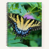 Eastern Tiger Swallowtail Butterfly Notizblock (Vorderseite)