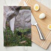 Eastern Timber Wolf Geschirrtuch (Viertel Falte)