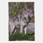 Eastern Timber Wolf Geschirrtuch (Vertikal)