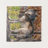 Eastern Timber Wolf Wandteppich (Vorderseite (Horizontal))