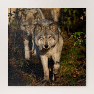Eastern Timber Wolves Jigsaw Puzzle