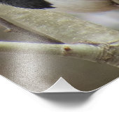 Eastern Towhey Fotodruck (Ecke)