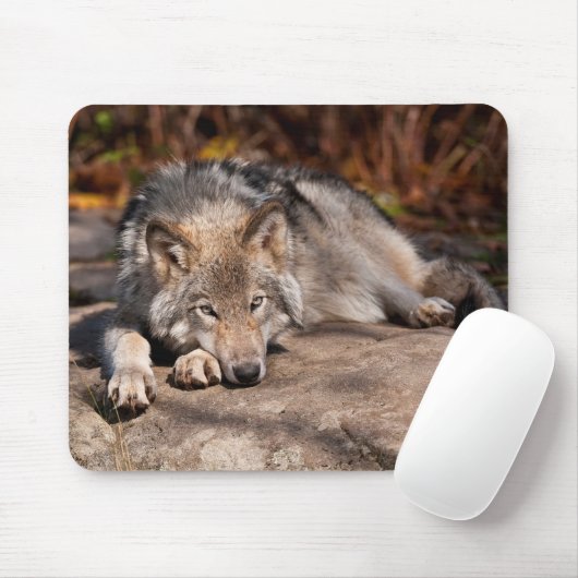 Eastern Wolf Mousepad (Mit Mouse)