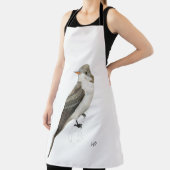 Eastern Wood Peewee Schürze (InSitu)