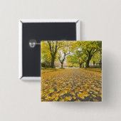 Eastmoreland in der Herbststraßen- und Button (Vorne & Hinten)