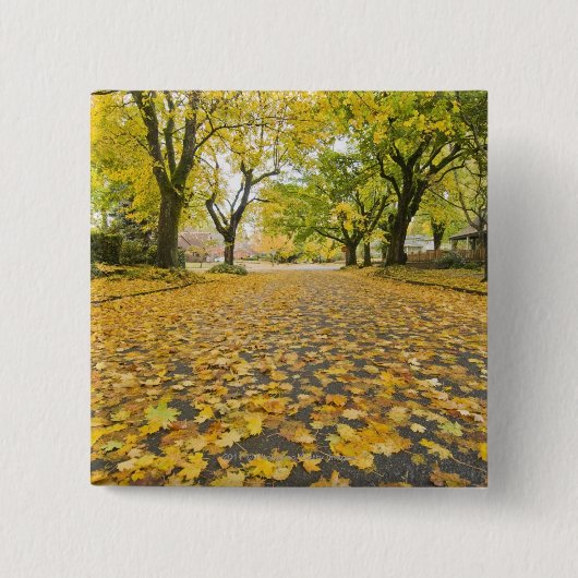 Eastmoreland in der Herbststraßen- und Button (Vorderseite)