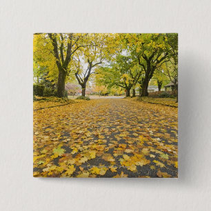 Eastmoreland in der Herbststraßen- und Button