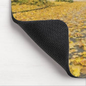 Eastmoreland in der Herbststraßen- und Mousepad (Ecke)