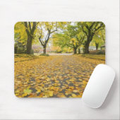 Eastmoreland in der Herbststraßen- und Mousepad (Mit Mouse)