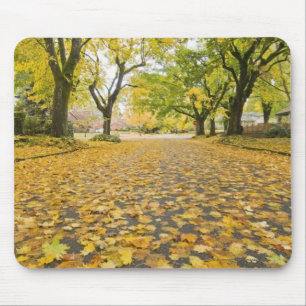 Eastmoreland in der Herbststraßen- und Mousepad