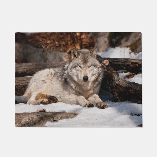 Easttern Gray Wolf Fußmatte (Vorderseite)