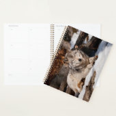 Easttern Gray Wolf Planer (Anzeige)