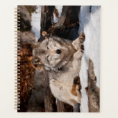 Easttern Gray Wolf Planer (Vorderseite)