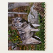 Easttern Gray Wolf Planer (Rückseite)