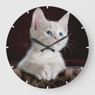 Easy Custom Pet Photo Acrylic Wall Clock Große Wanduhr
