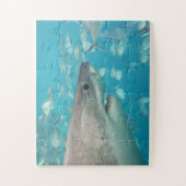 Easy Fun Blue Kids Shark Puzzle (Vertikal)