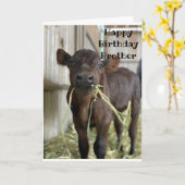 EAT CAKE NICHT "BROTHER" GEBURTSTAGSKARTE KARTE (Gelbe Blume)