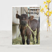 EAT CAKE NICHT HABEN GEBURTSTAGSKARTE KARTE (Gelbe Blume)