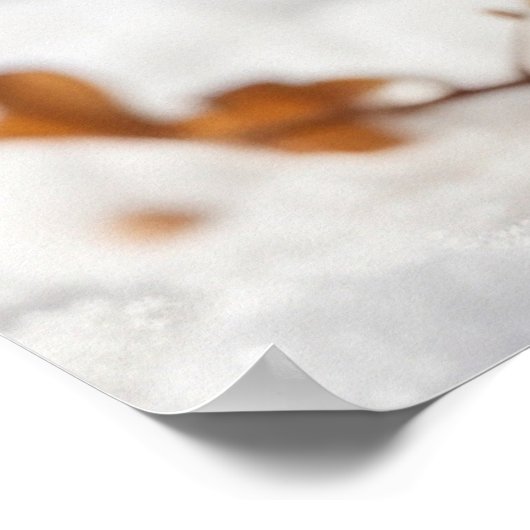 *~* Eating Snow Kitty 5:4 Kitten Cat AP68 Poster (Ecke)