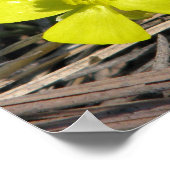 eb914d3d831da7681f0eff33fe3afaf5_200 poster (Ecke)