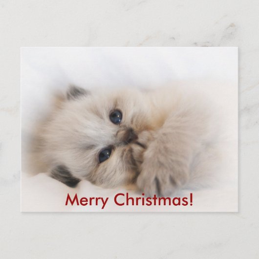 ebay 003, Frohe Weihnachten! Feiertagspostkarte (Vorderseite)