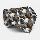 Ebay 2010 172 krawatte (Gerollt)