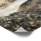 ebb und flow poster (Ecke)