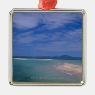 Ebbe am Strand Silbernes Ornament