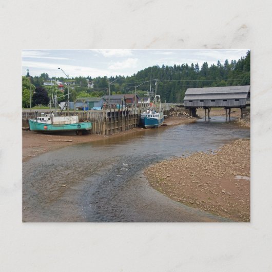 Ebbe in der Bay of Fundy in St. Martins, Neu Postkarte (Vorderseite)