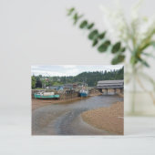Ebbe in der Bay of Fundy in St. Martins, Neu Postkarte (Stehend Vorderseite)