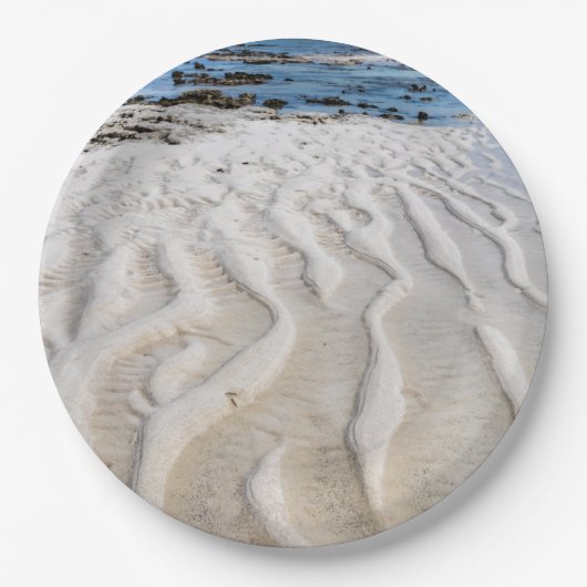 Ebbe Pappteller (Vorderseite)