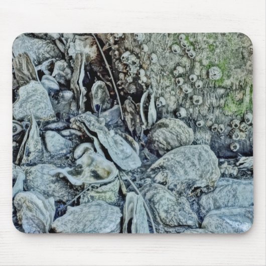 Ebbe-Schönheits-Austern-Bett Mousepad (Vorne)