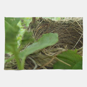 Eben errichtetes aber leeres Vogel-Nest in einem Geschirrtuch