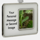 Eben errichtetes aber leeres Vogel-Nest in einem Rahmen-Ornament Silber (Rechts)