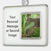 Eben errichtetes aber leeres Vogel-Nest in einem Rahmen-Ornament Silber (Links)