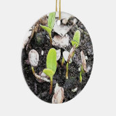 Eben gekeimte Sämlinge Keramik Ornament (Rechts)