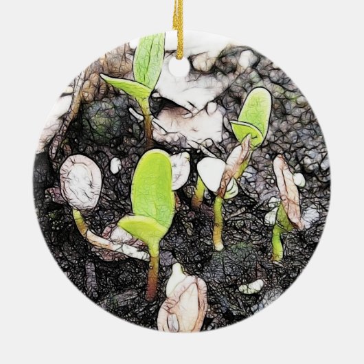 Eben gekeimte Sämlinge Keramik Ornament (Hinten)