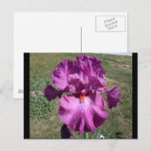 Eben nach postkarte (Vorne/Hinten)