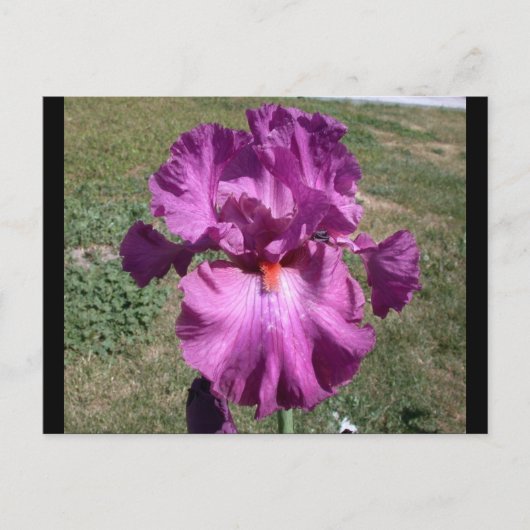 Eben nach postkarte (Vorderseite)