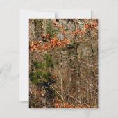 EBENE 4x5 danken Ihnen, Dankeskarte (Rückseite)